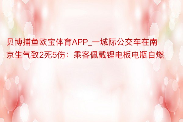 贝博捕鱼欧宝体育APP_一城际公交车在南京生气致2死5伤：乘客佩戴锂电板电瓶自燃