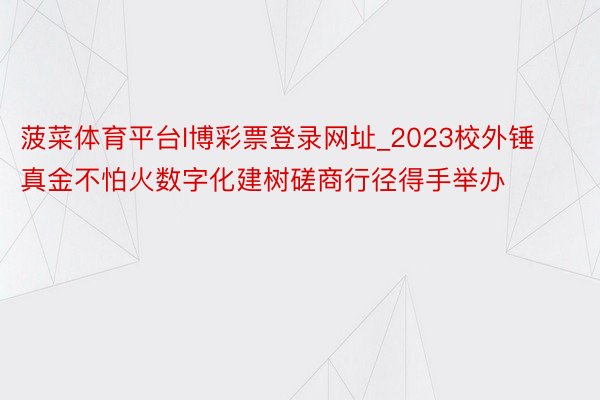 菠菜体育平台l博彩票登录网址_2023校外锤真金不怕火数字化建树磋商行径得手举办